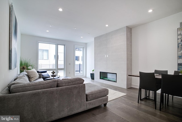 living room featuring dark hardwood / wood-style flooring and a large fireplace