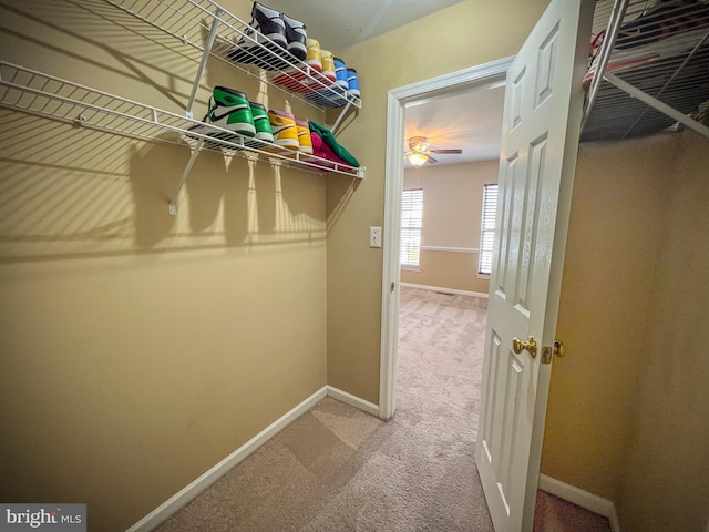 walk in closet featuring carpet