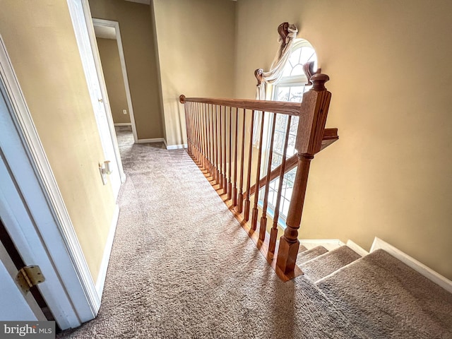 stairway with carpet floors