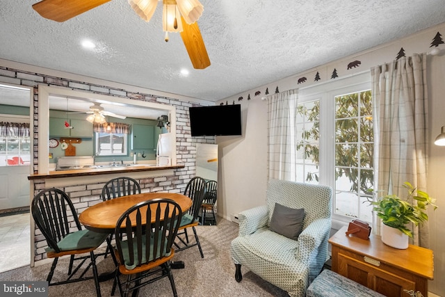 dining room featuring ceiling fan, a healthy amount of sunlight, and a textured ceiling