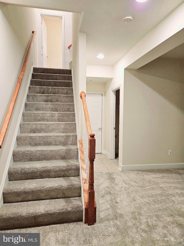 stairs featuring carpet flooring