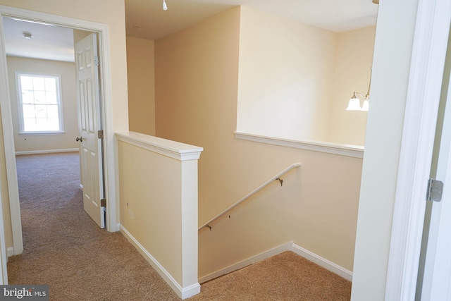 stairway with carpet flooring