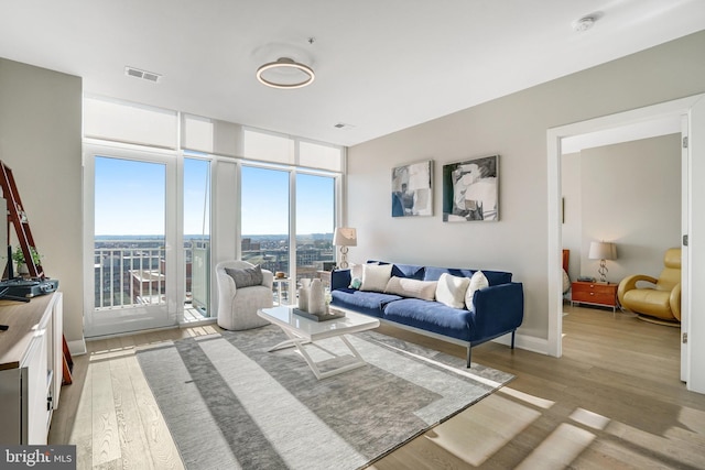 living room with light hardwood / wood-style floors and expansive windows