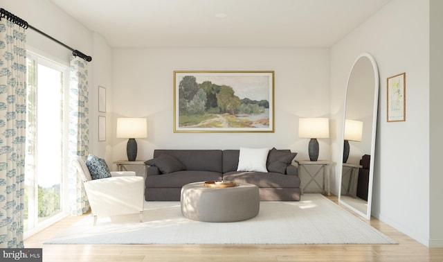 living room with light wood-type flooring