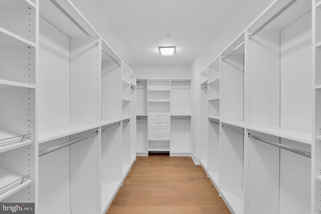 walk in closet with light hardwood / wood-style floors