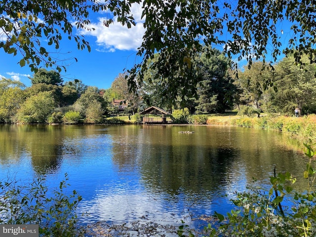 property view of water featuring a gazebo