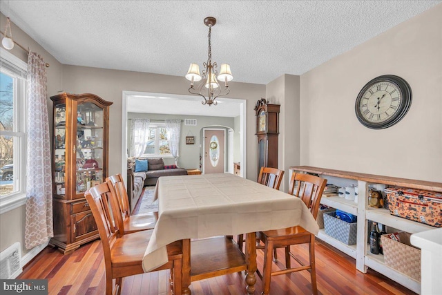 dining room featuring a notable chandelier, a wealth of natural light, a textured ceiling, and wood-type flooring