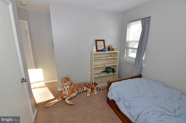 bedroom with carpet flooring