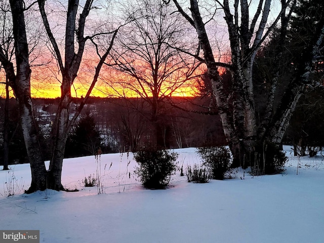 view of yard layered in snow