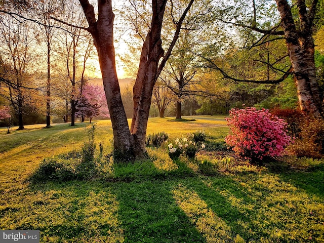 view of community featuring a lawn