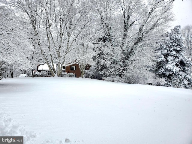 view of yard layered in snow