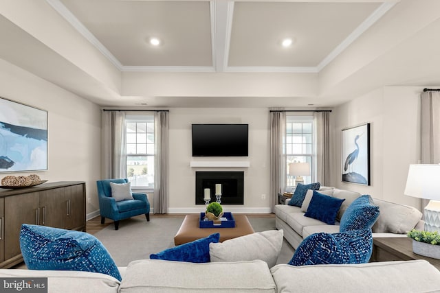 living room with light wood-type flooring and a wealth of natural light