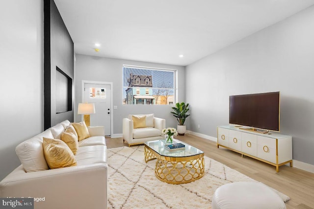 living room featuring light hardwood / wood-style flooring