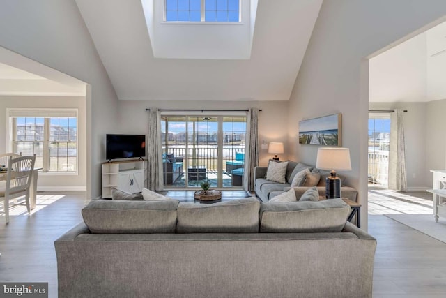 living room with hardwood / wood-style flooring and plenty of natural light