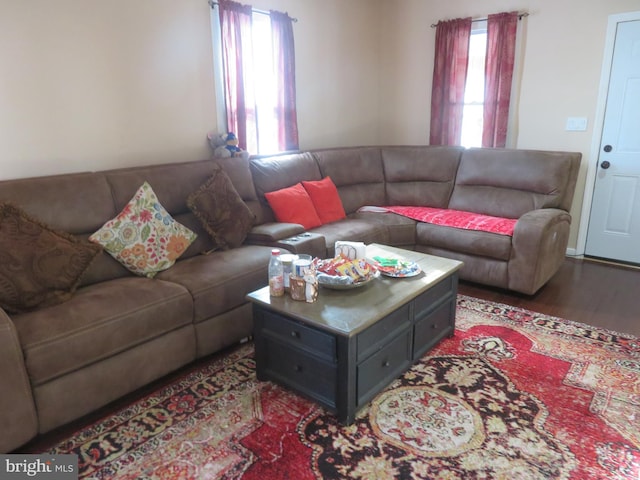 living room with a wealth of natural light and light hardwood / wood-style flooring