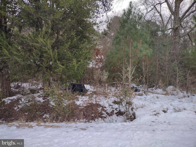 view of snow covered land