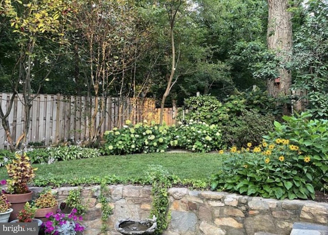 view of yard featuring fence