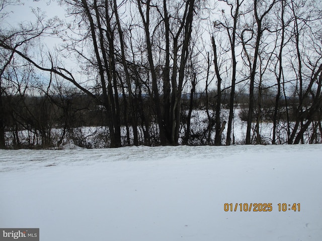 view of yard covered in snow