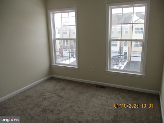 carpeted empty room featuring a wealth of natural light