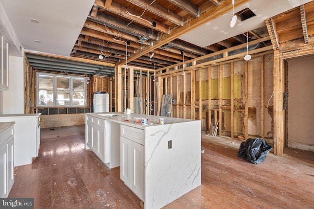 basement featuring wood-type flooring