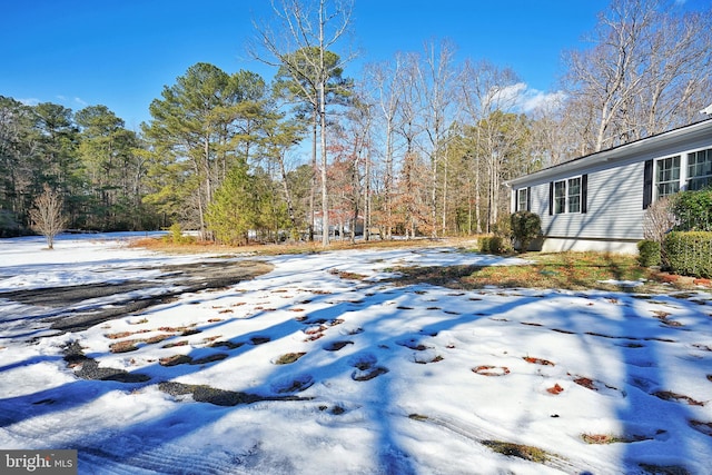 view of snowy yard