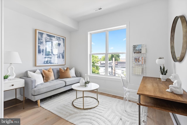 living room featuring light hardwood / wood-style flooring