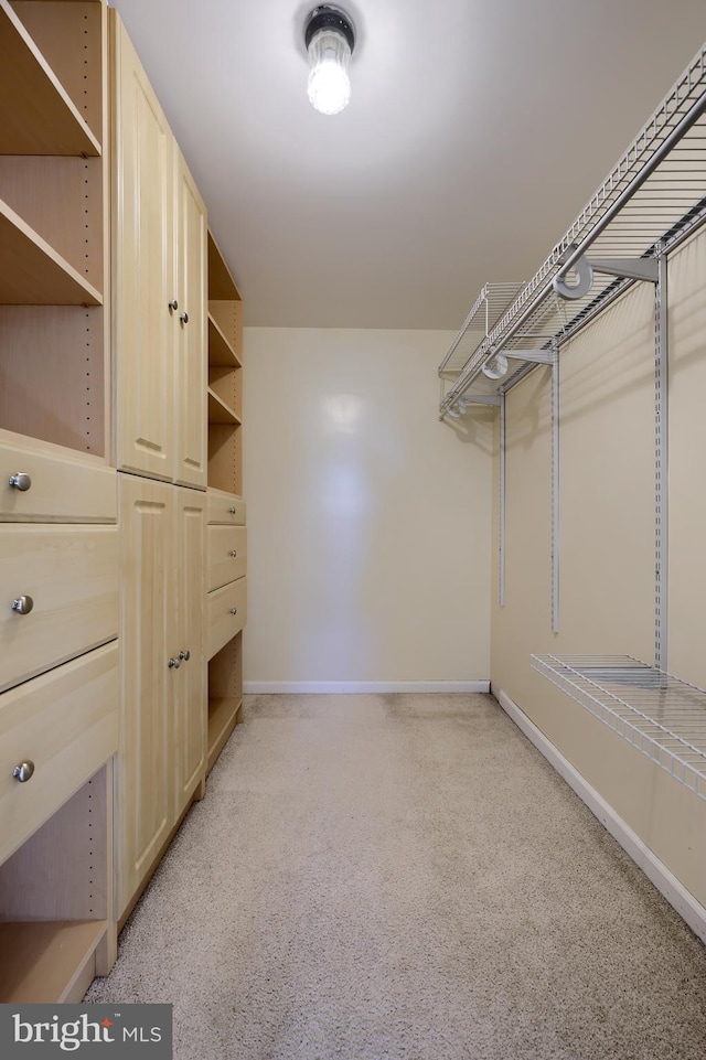 view of spacious closet