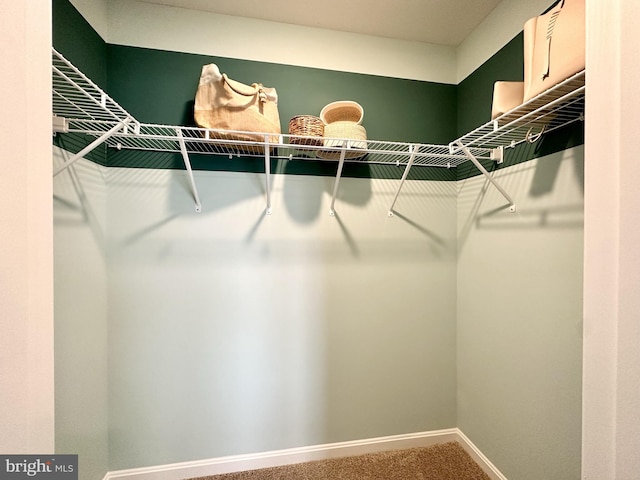 walk in closet with carpet floors