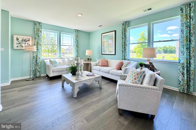 living room featuring dark wood-type flooring