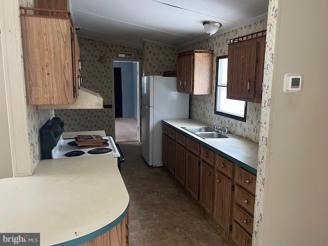 kitchen with electric stove, sink, and white fridge