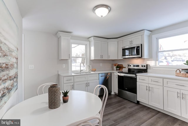 kitchen with white cabinetry, stainless steel appliances, sink, and plenty of natural light