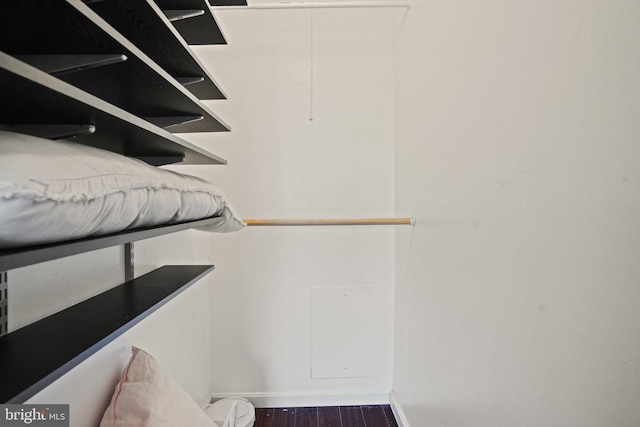 spacious closet featuring dark hardwood / wood-style floors