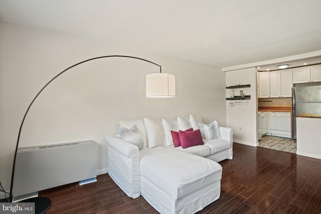 living room featuring dark hardwood / wood-style flooring and radiator