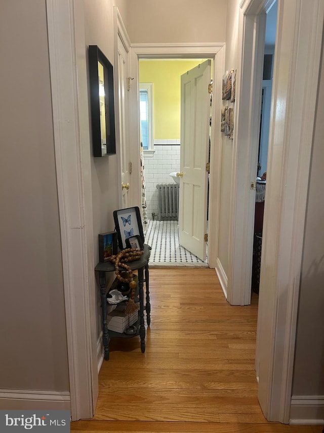 hall featuring radiator heating unit and light wood-type flooring