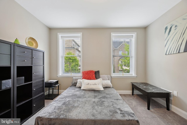 living area with a healthy amount of sunlight and carpet flooring