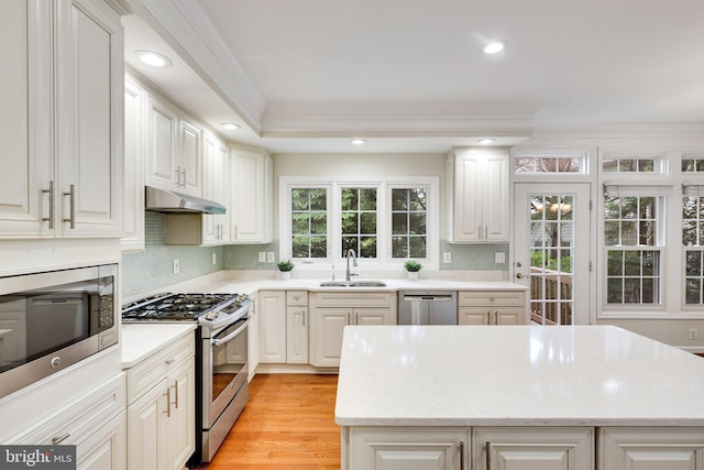 kitchen featuring sink, crown molding, stainless steel appliances, and white cabinetry