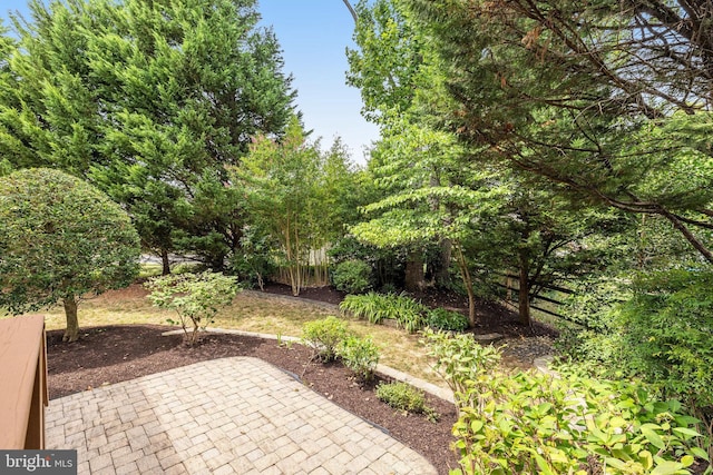 view of yard with a patio area