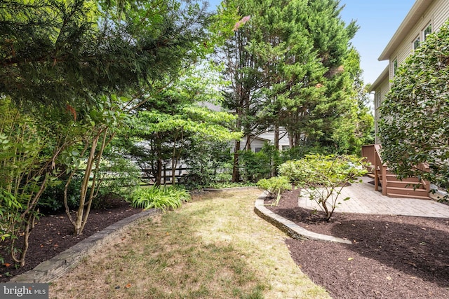 view of yard with a patio