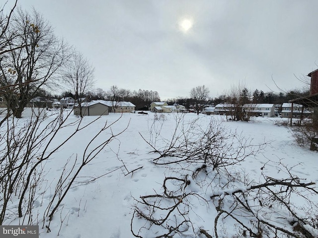 view of yard layered in snow