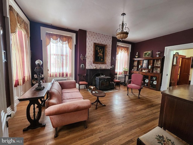 living room featuring hardwood / wood-style flooring and a wood stove