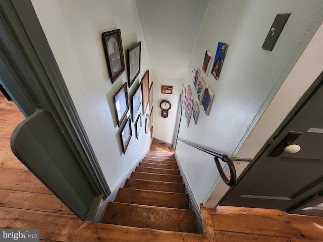 stairway with hardwood / wood-style flooring