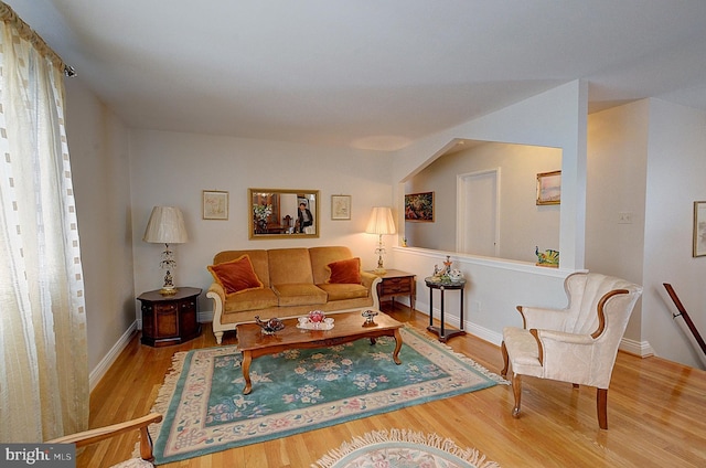 living room featuring wood-type flooring