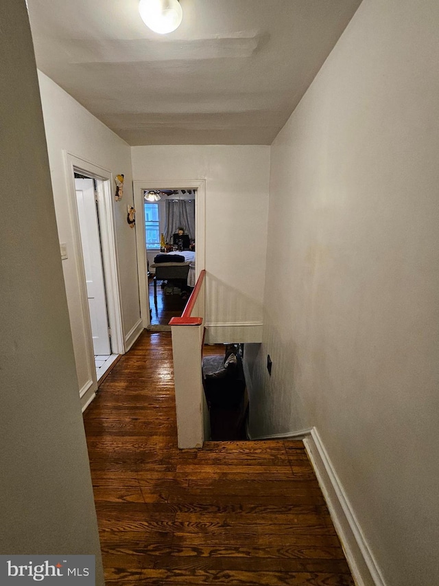 hall with dark hardwood / wood-style flooring