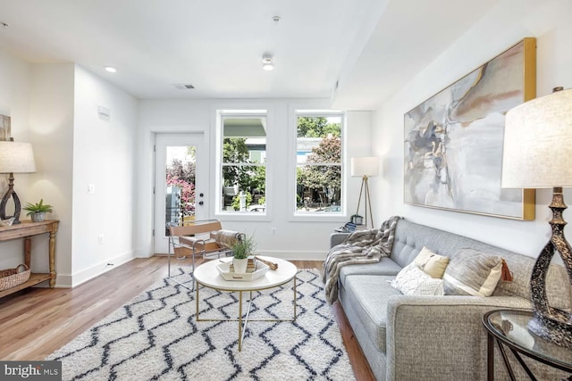 living room with a healthy amount of sunlight and light hardwood / wood-style flooring