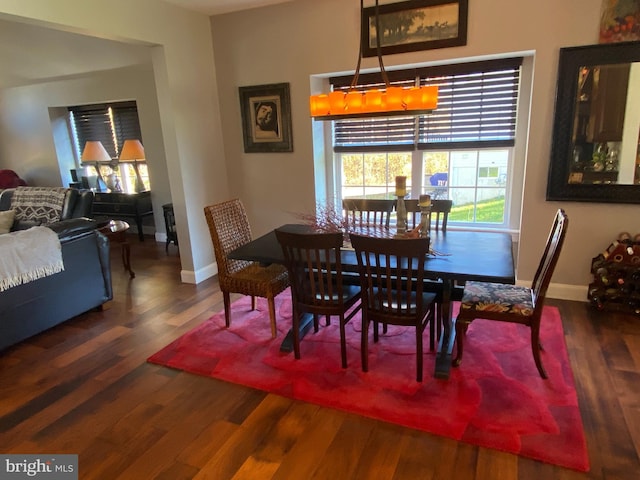 dining room featuring dark hardwood / wood-style floors