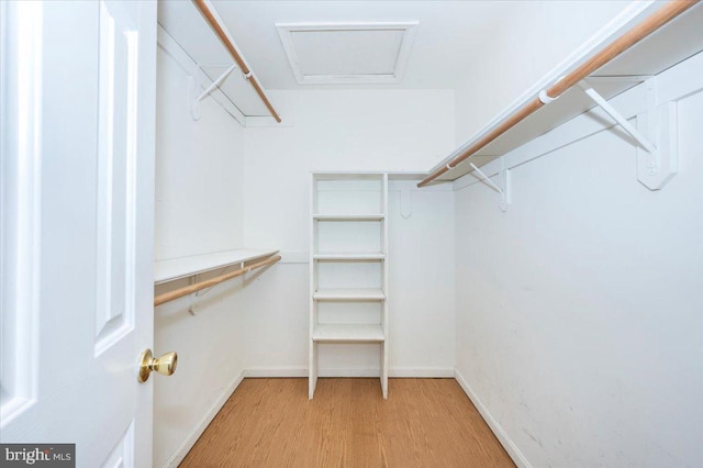 spacious closet featuring light wood-type flooring