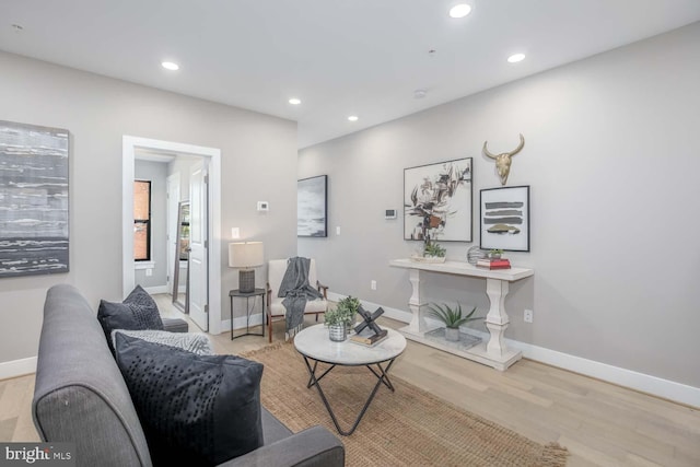 living room featuring light wood-type flooring