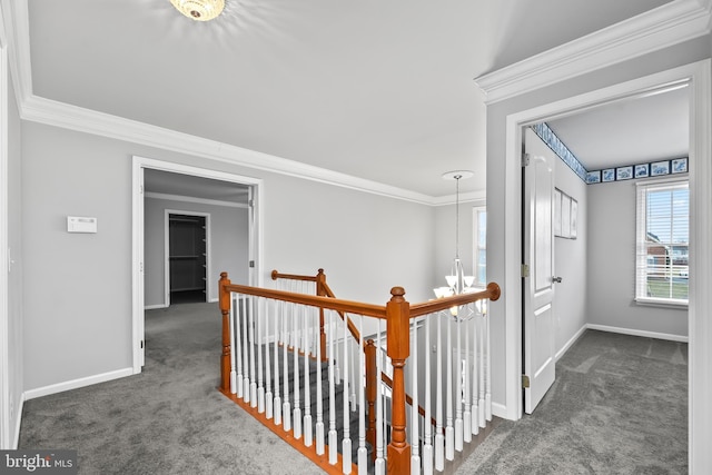 hallway with an inviting chandelier, dark carpet, and ornamental molding