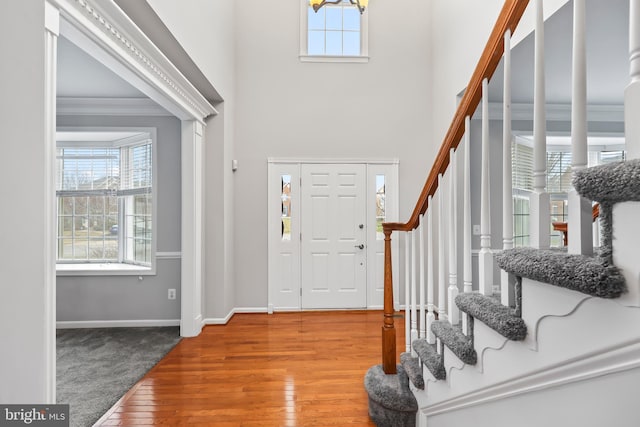 entryway with a high ceiling and wood-type flooring