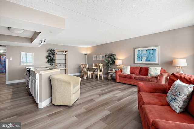 living room featuring a textured ceiling and light hardwood / wood-style flooring